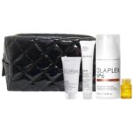 Olaplex smooth your style hair kit