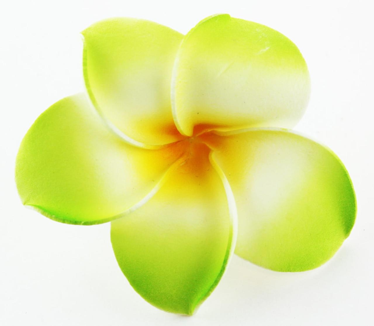 Hawaiian flower hair clip